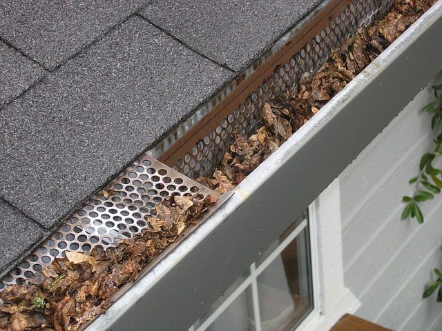 Gutter Guard Ipswich, Gutter Protection Ipswich